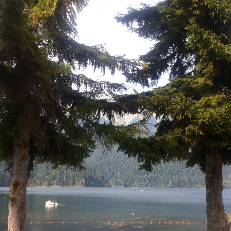 IMG_20140908_115516.jpg
