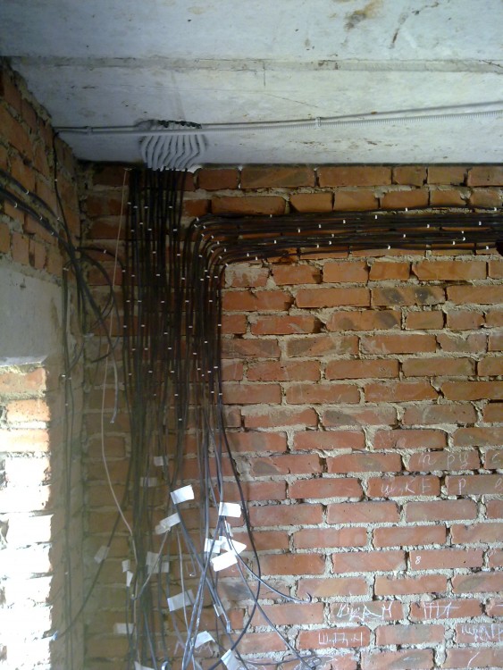 110720132183.jpg