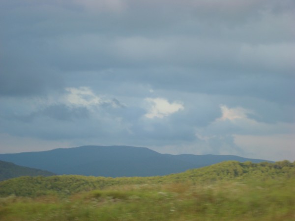 DSC09681.JPG