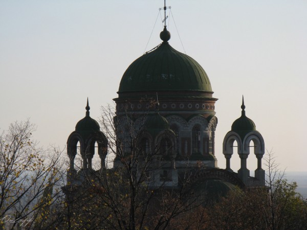 IMG_1685.jpg