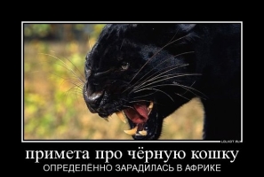 yumor.jpg