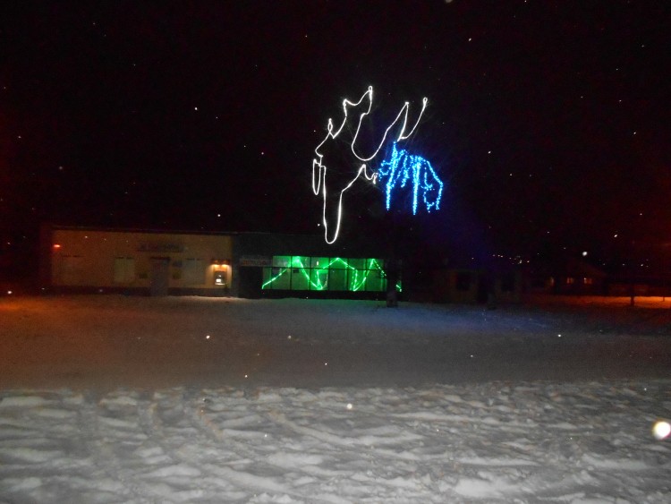 DSCN0231.JPG