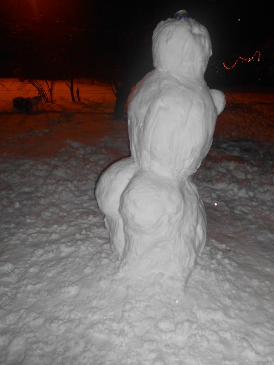DSCN0223.JPG
