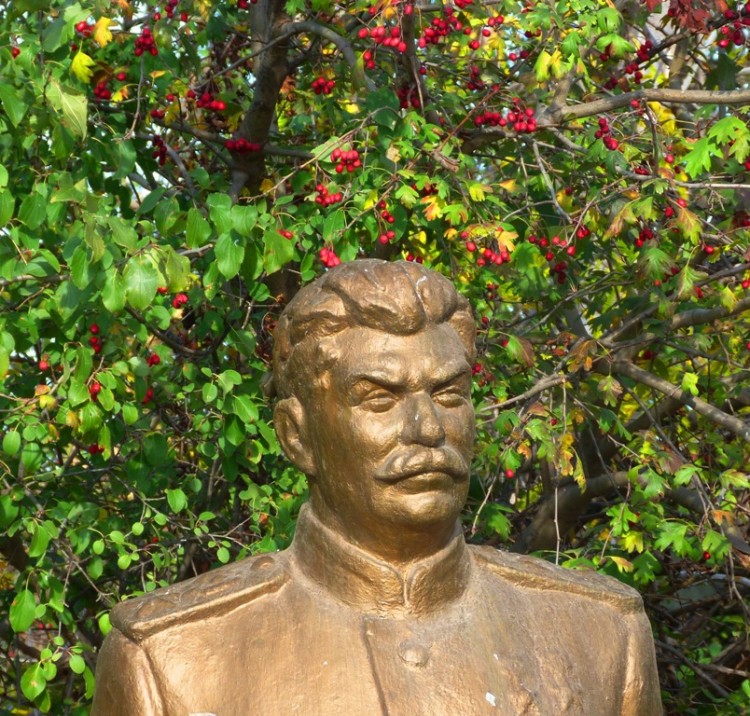 Дедушка в боярышнике.jpg