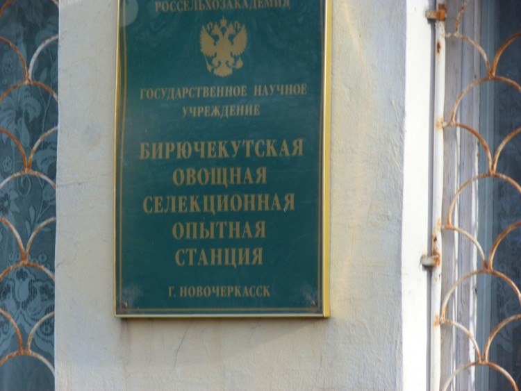 P1100147.JPG