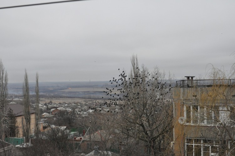 DSC_3661.JPG