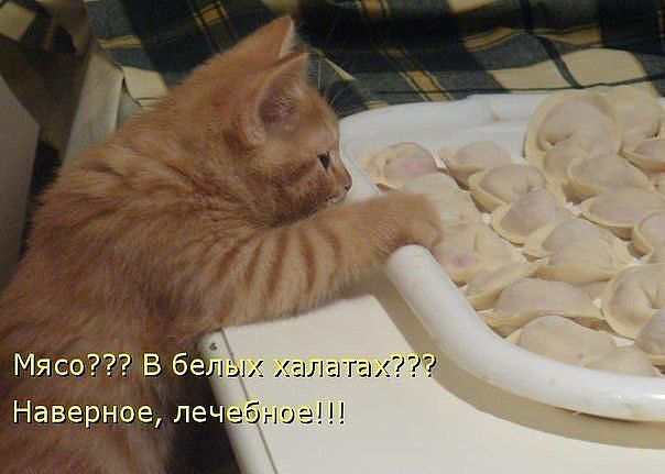 5075147.jpg