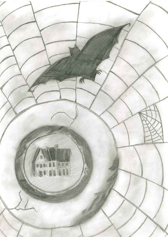 Image5.jpg