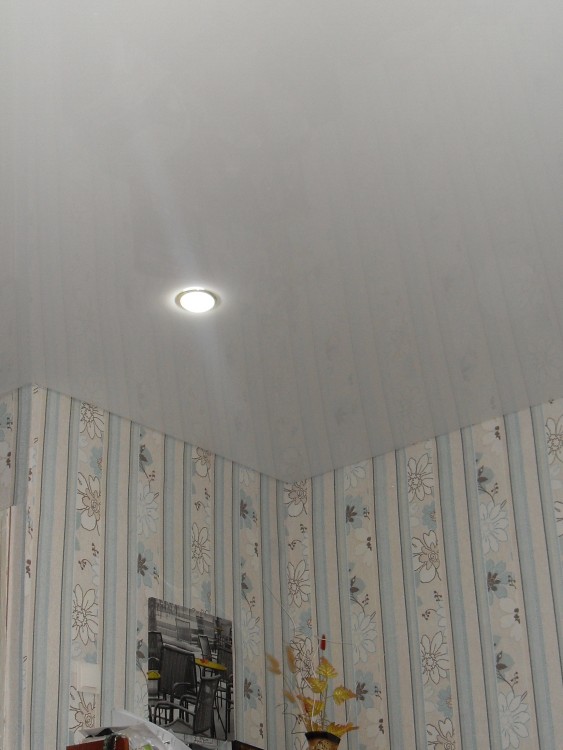 SDC14008.JPG