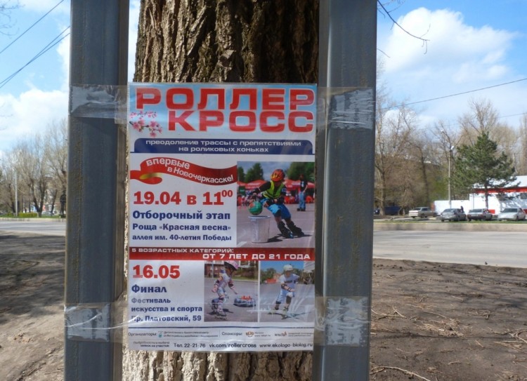 P1100945.JPG