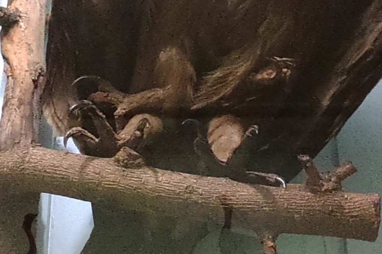 DSC_0027_rs2.jpg