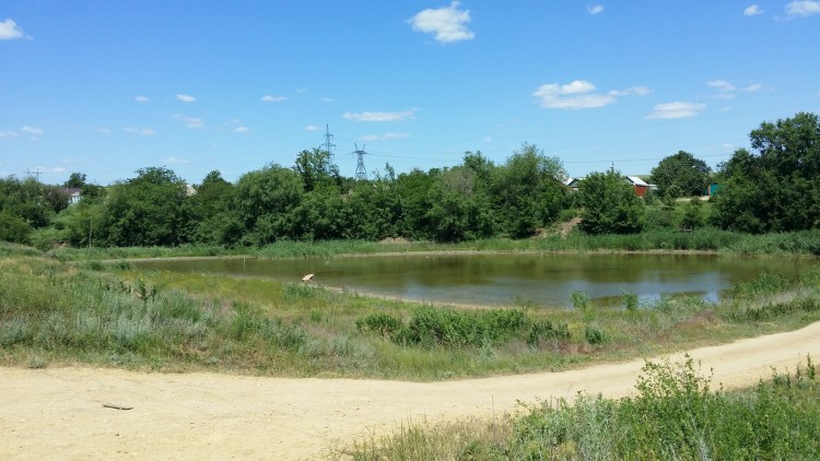 20150607_112208.jpg