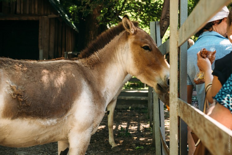 DSC_0644.jpg