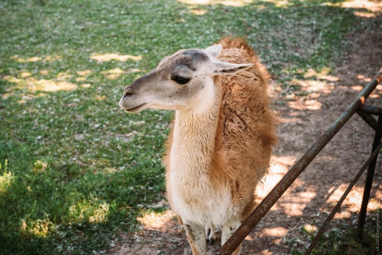 DSC_0648.jpg
