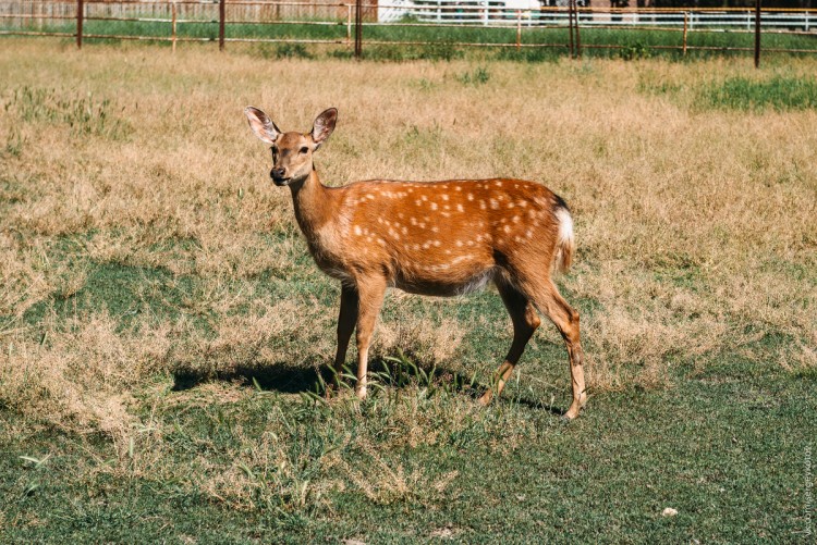 DSC_0678.jpg