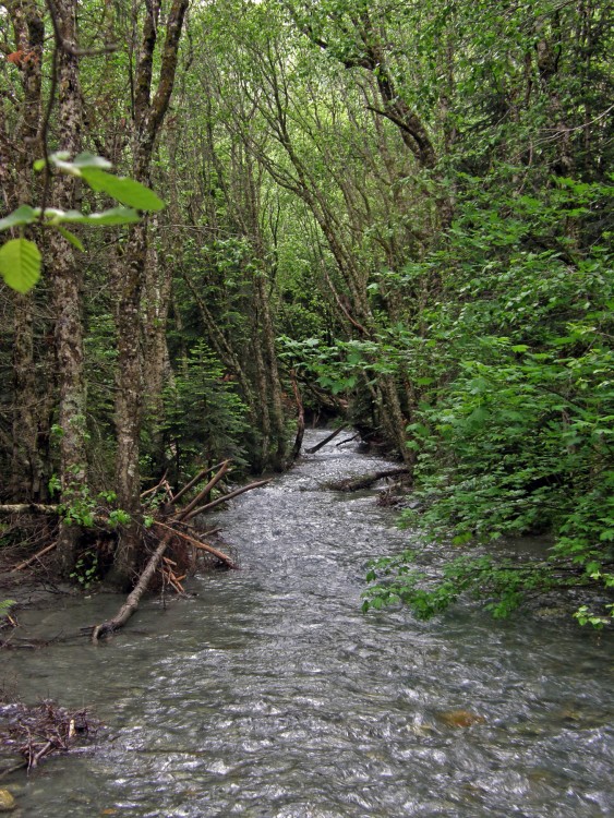 P6176942.jpg