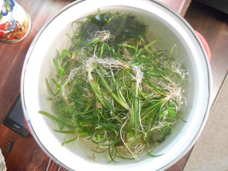 DSCN1456.JPG