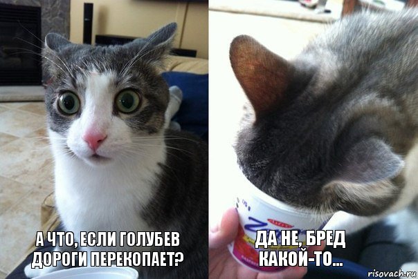 risovach.ru.jpg