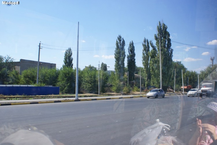 DSC07198.jpg