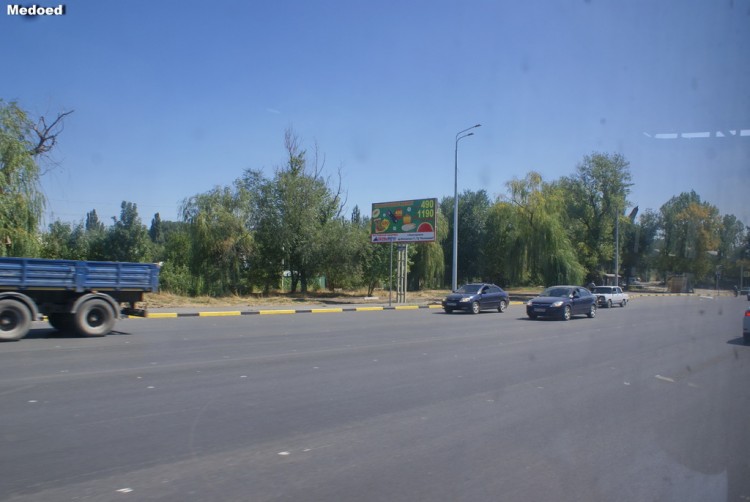 DSC07174.jpg