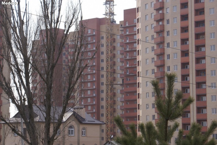 DSC06528.jpg