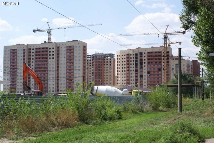 DSC03561.jpg
