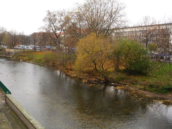 P1010810-R.jpg