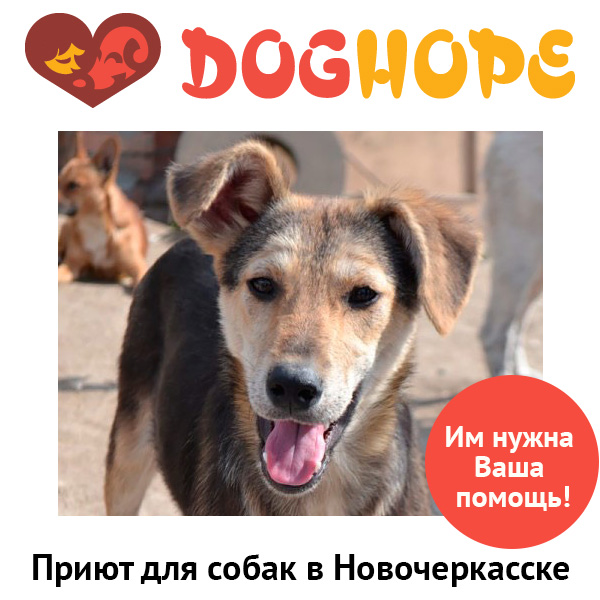 odnoklassniki-white.jpg