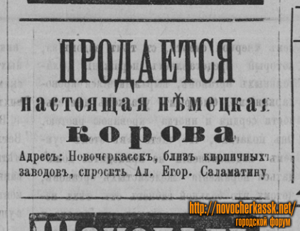 1897-korova.jpg