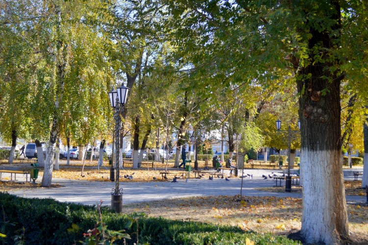 DSC_0013.JPG