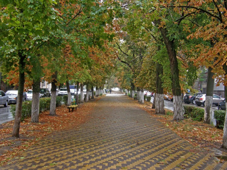 PA157581.JPG