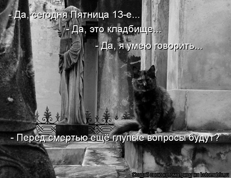 3669981_a5ebbdf1.jpg