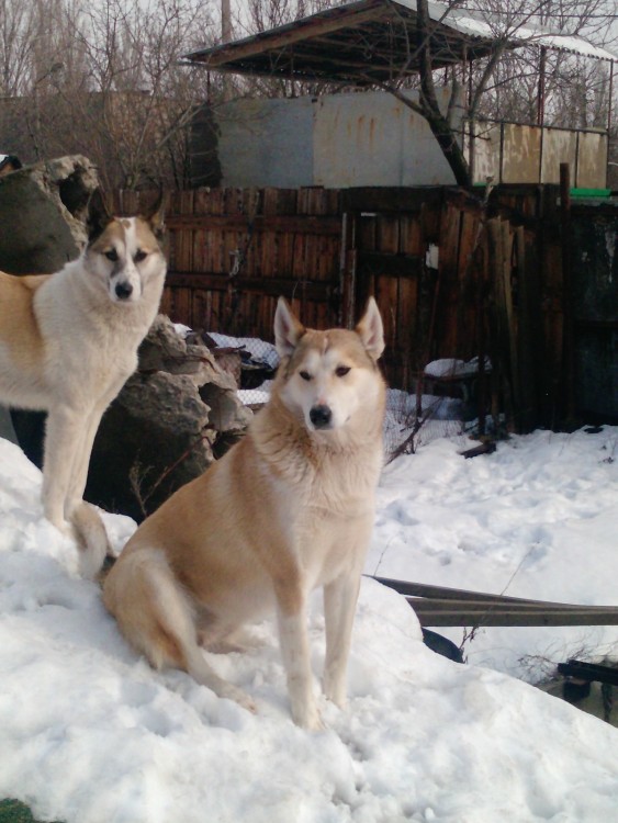 P1107_06-02-11.jpg