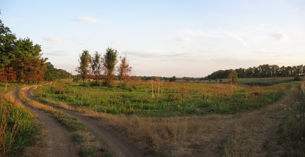 213.jpg