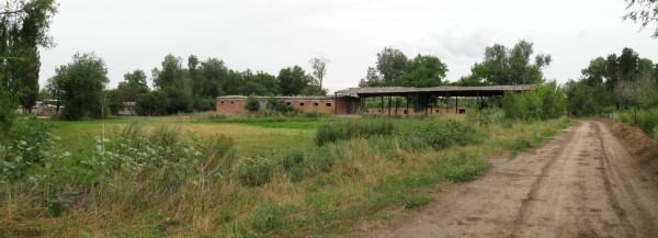 173.jpg