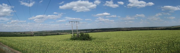 191.jpg