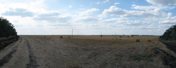 201.jpg