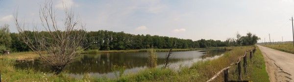218.jpg