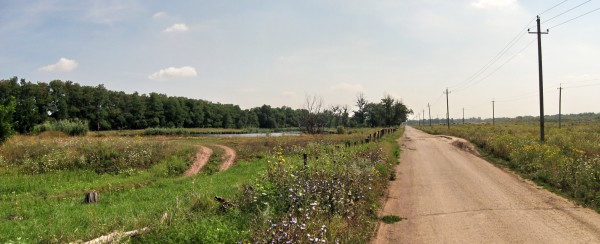 219.jpg