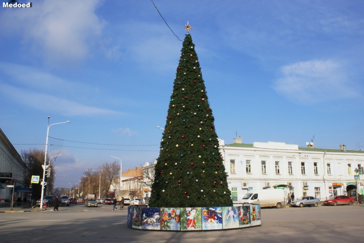 DSC07622.jpg