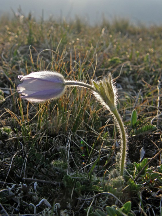 P5100132.jpg