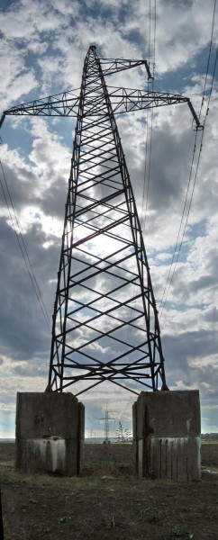 259.jpg
