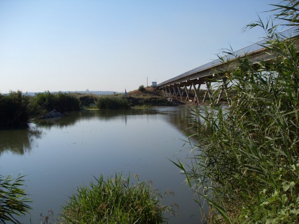 SDC10286.JPG