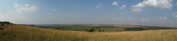 290.jpg