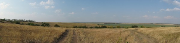 291.jpg