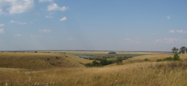 293.jpg