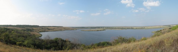 296.jpg