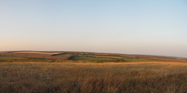 303.jpg