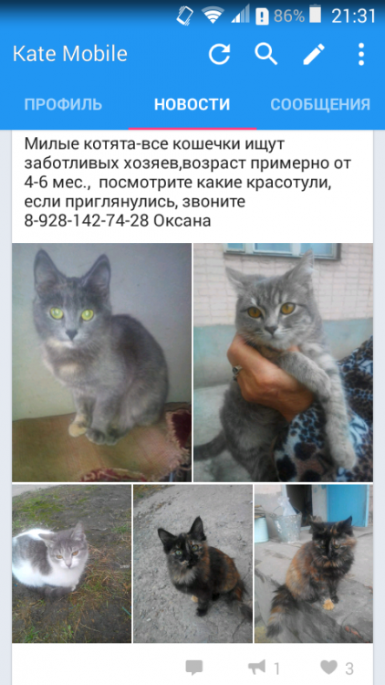 Screenshot_2016-02-13-21-31-05.png