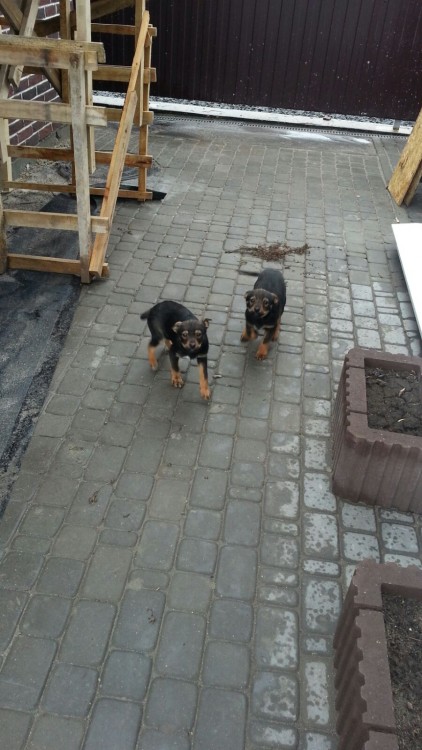 IMG-20160214-WA0005.jpg